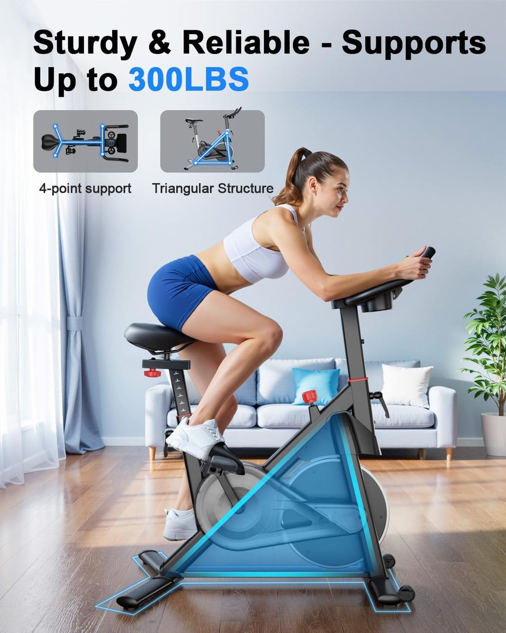 Lacuffy S1-Pro Indoor Cycling Bike-US