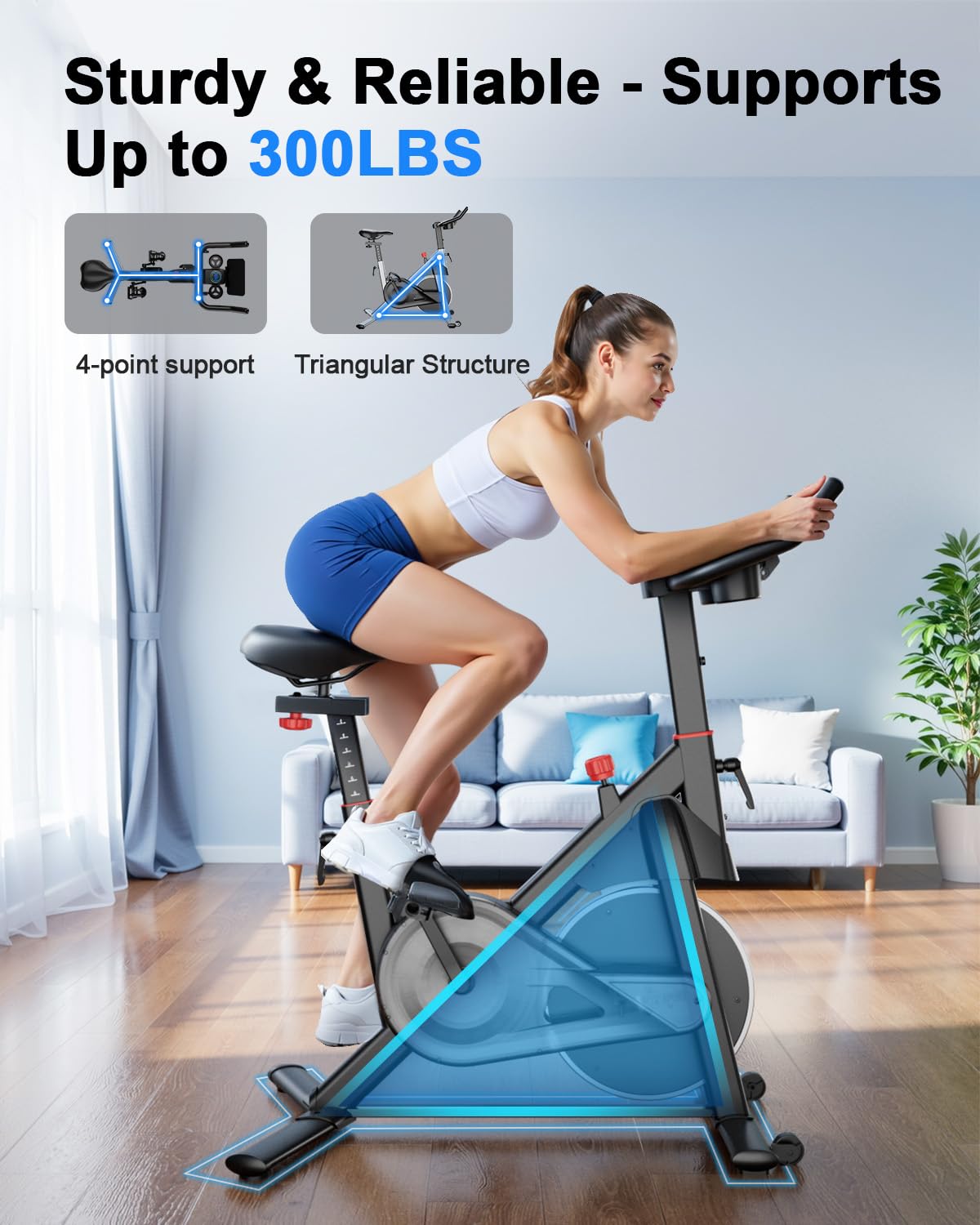 Lacuffy S1-Pro Indoor Cycling Bike-US